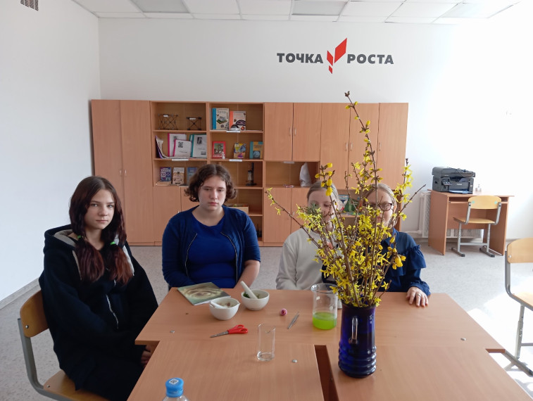 Выгонка растений на занятиях кружка "Удивительное рядом".